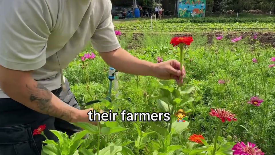 CERES Community Garden (Captioned)